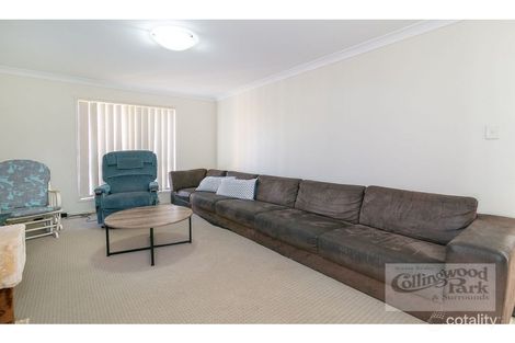Property photo of 3 Guerin Court Collingwood Park QLD 4301