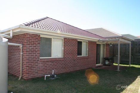 Property photo of 7 Wavecrest Place Calamvale QLD 4116