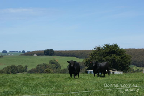 257 South Rd, Mengha, TAS 7330