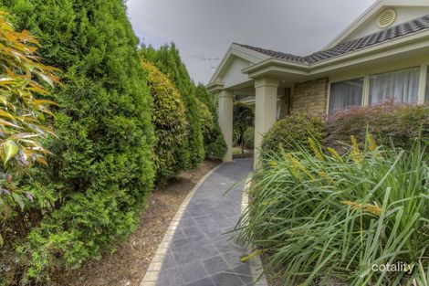 Property photo of 41 Tresswell Avenue Newborough VIC 3825
