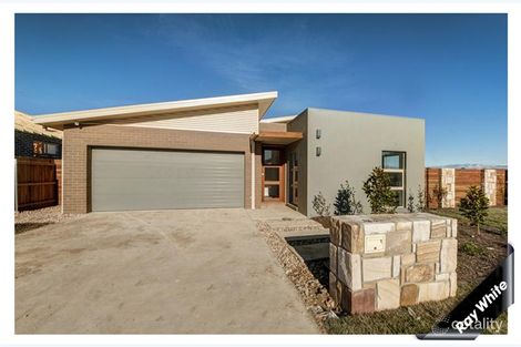 Property photo of 62 Blizzard Circuit Forde ACT 2914