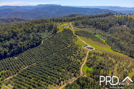 158 Crescent Hills Rd, Tabulam, NSW 2469