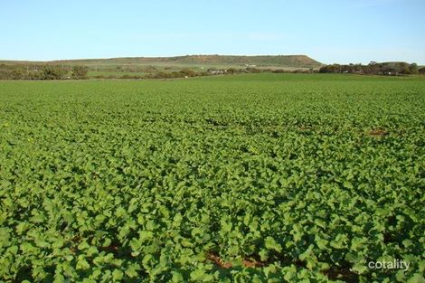 1823 Chapman Valley Rd, Yetna, WA 6532