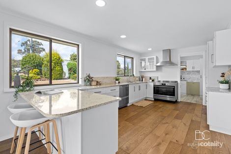 Property photo of 238 Boddingtons Road Bridport TAS 7262