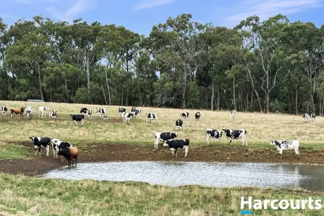 210 Frys Rd, Leongatha South, VIC 3953