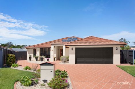 Property photo of 14 Magnolia Crescent Banora Point NSW 2486