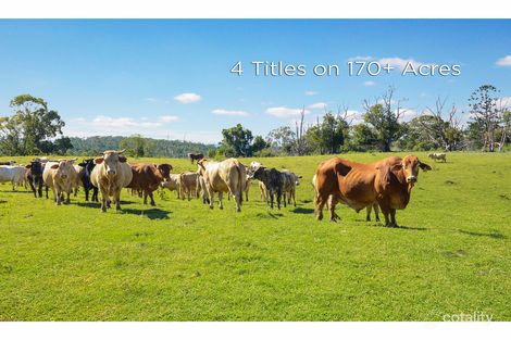 11 Wild Rd, Bald Knob, QLD 4552