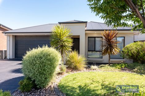 24 Campbell Cct, Gawler East, SA 5118