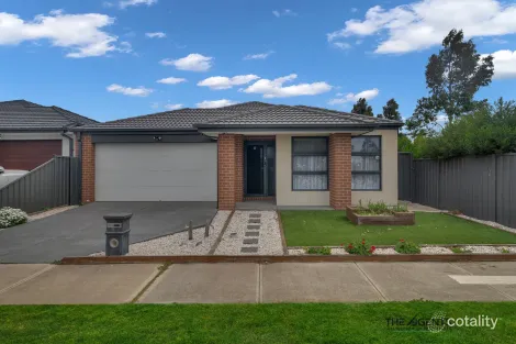 Property photo of 11 Luster Crescent Tarneit VIC 3029