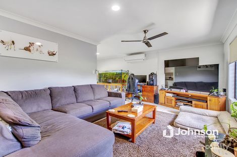 Property photo of 65 David Street North Booval QLD 4304