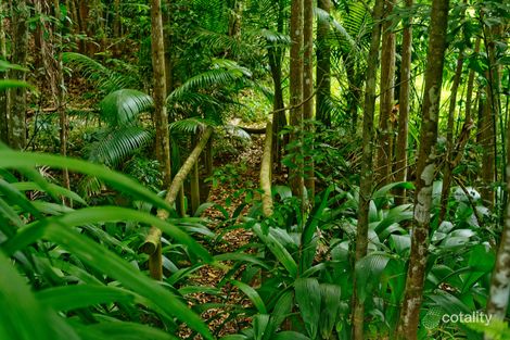 Property photo of 72 Grasstree Road Eumundi QLD 4562