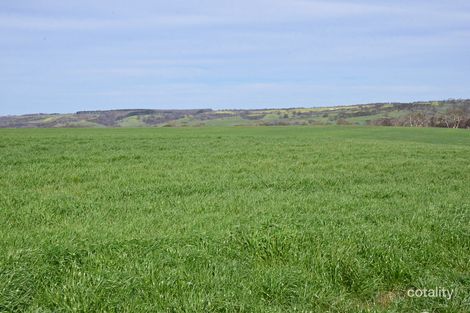 Property photo of 514 Bark Hut Road Cassini SA 5223