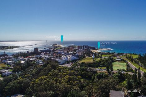 Property photo of 5 Hillview Crescent The Hill NSW 2300