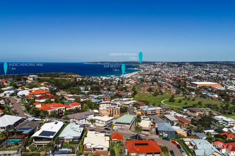 Property photo of 5 Hillview Crescent The Hill NSW 2300