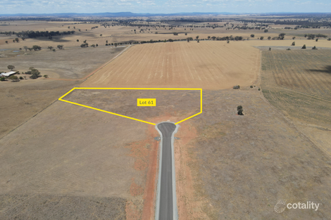 Property photo of 16 Scenic Drive Forbes NSW 2871