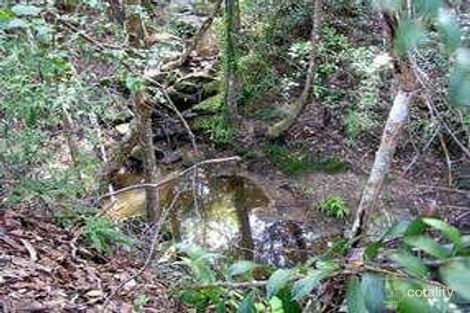 Property photo of 55 Cunning Road Tanawha QLD 4556