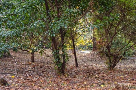 Property photo of 9 Price Road Kalorama VIC 3766