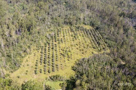 Property photo of 6289B Bruxner Highway Tabulam NSW 2469