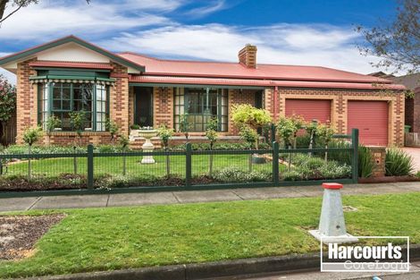 Property photo of 11 Marida Court Berwick VIC 3806