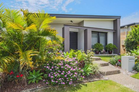 Property photo of 49 Collingrove Circuit Pimpama QLD 4209