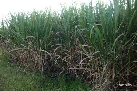 Property photo of 16 Chewko Road Mareeba QLD 4880