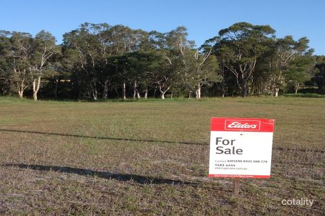 81 Golden Hind Ave, Cooloola Cove, QLD 4580