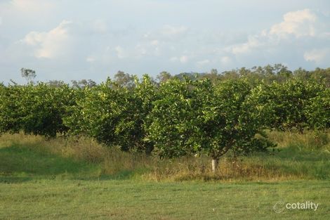 Property photo of 16 Chewko Road Mareeba QLD 4880