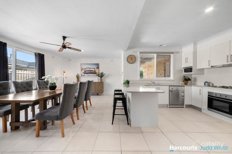 Property photo of 91 Orchard Street Glen Waverley VIC 3150