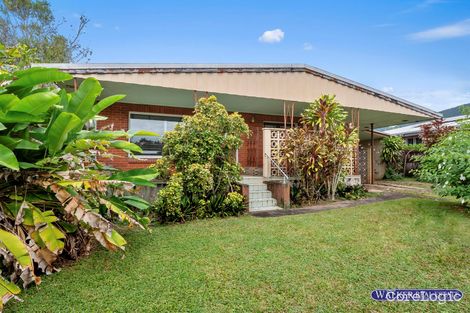 Property photo of 37 Langan Street Earlville QLD 4870