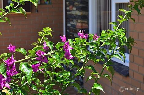 Property photo of 22 Watkins Street White Gum Valley WA 6162