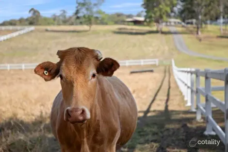 Property photo of 266-282 Skyring Creek Road Belli Park QLD 4562