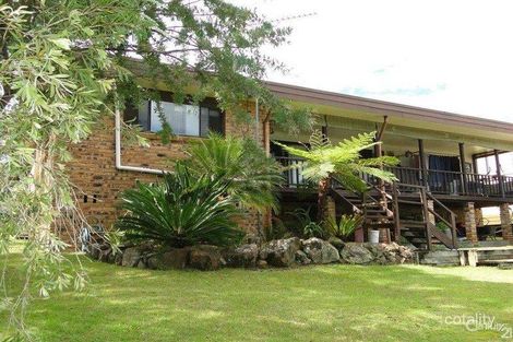 Property photo of 19 Second Avenue Bundabah NSW 2324