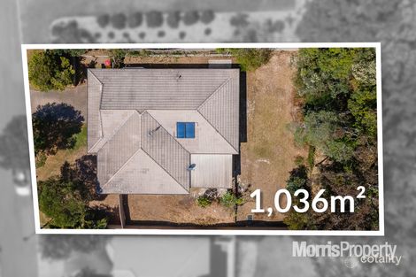 Property photo of 13 Currawong Crescent Upper Coomera QLD 4209