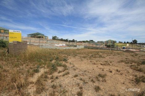 Property photo of 4 Meharry Place Minto NSW 2566