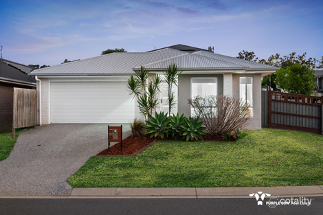 65 Minerva St, South Ripley, QLD 4306