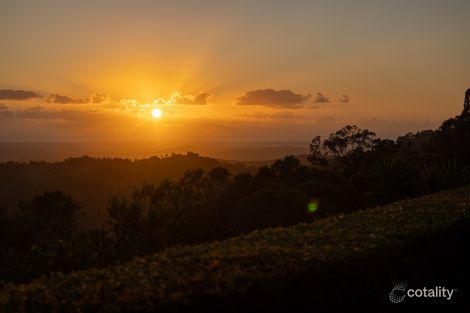 Property photo of 59 Ensbey Road Bald Knob QLD 4552