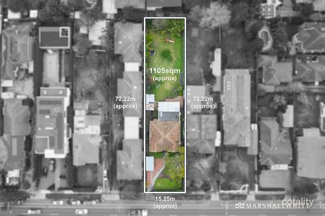 Property photo of 451 Kooyong Road Elsternwick VIC 3185