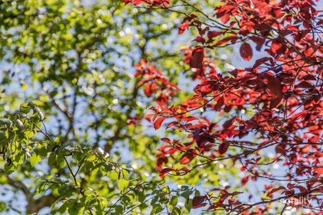 29 Winifred Ave, Glandore, SA 5037