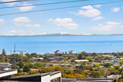 Property photo of 11 Devon Street Dromana VIC 3936