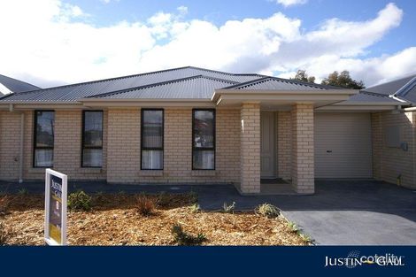 2b Cooke St, Modbury, SA 5092