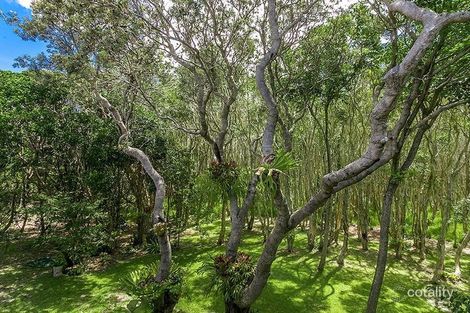 Property photo of 14 Alcorn Street Suffolk Park NSW 2481