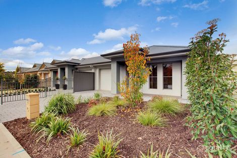 16 Kent Ave, Warradale, SA 5046