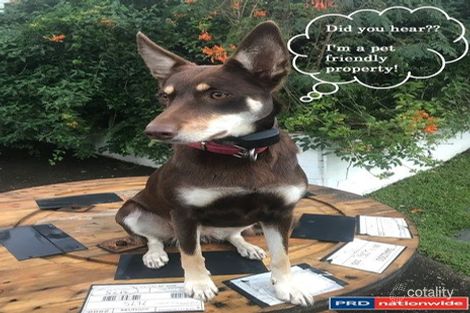 23 Surrey St, Nundah, QLD 4012