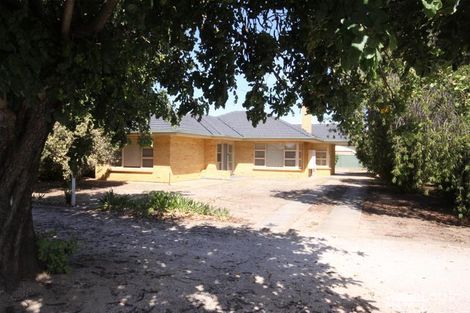 Property photo of 19 Greenock Road Nuriootpa SA 5355