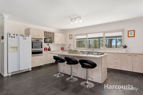 Property photo of 40 Ironbark Lane Nulkaba NSW 2325
