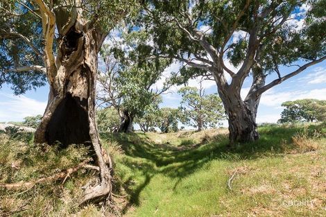 Property photo of 2284 Ridley Road Angas Valley SA 5238