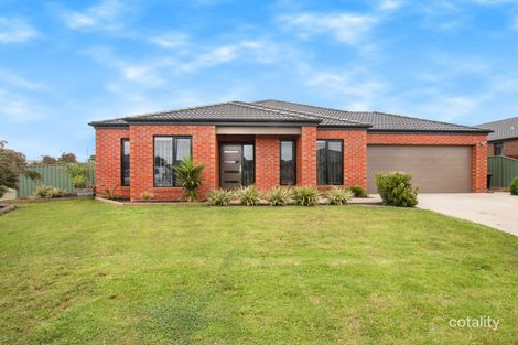 Property photo of 9 Laffan Court Koroit VIC 3282