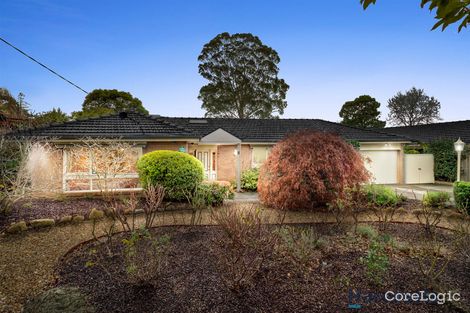 Property photo of 3 Landen Avenue Glen Waverley VIC 3150