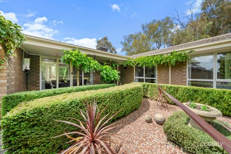 Property photo of 5 Morphy Place Cook ACT 2614