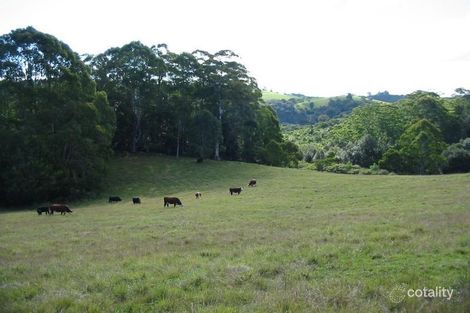 130 Hudsons Rd, Megan, NSW 2453